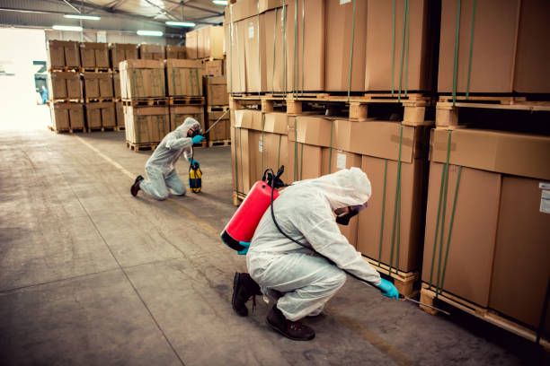 Best Best Pest Control Companies  in Preston Heights, IL
