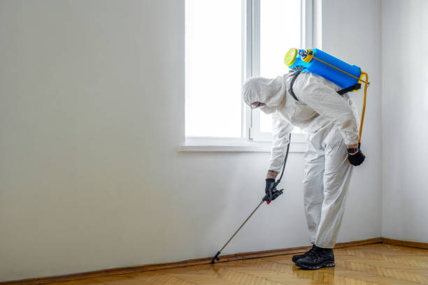 Best Exterminator Services  in Preston Heights, IL