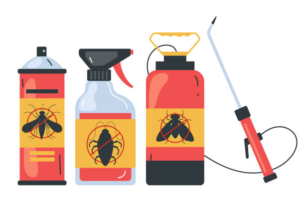 Best Termite Control Services  in Preston Heights, IL