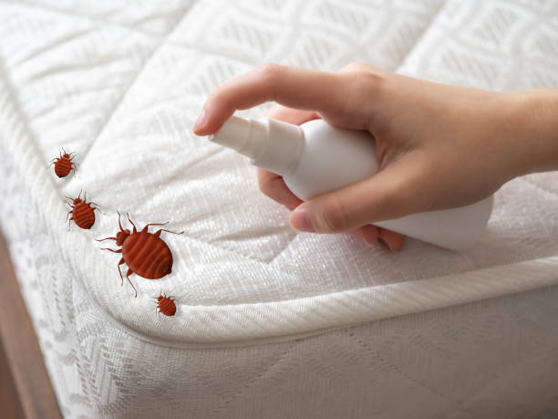 Wildlife Control Services in Preston Heights, IL