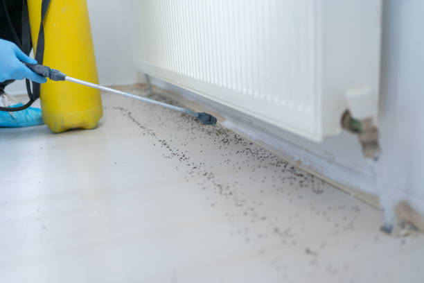 Wildlife Control Services in Preston Heights, IL